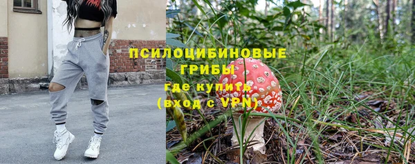 дмт Верхний Тагил