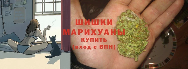 крисы Верея
