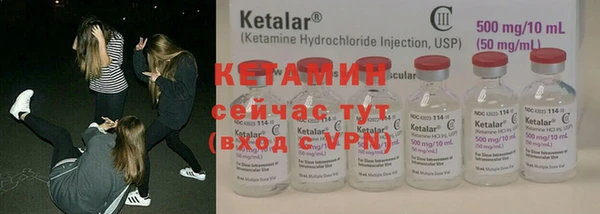 крисы Верея