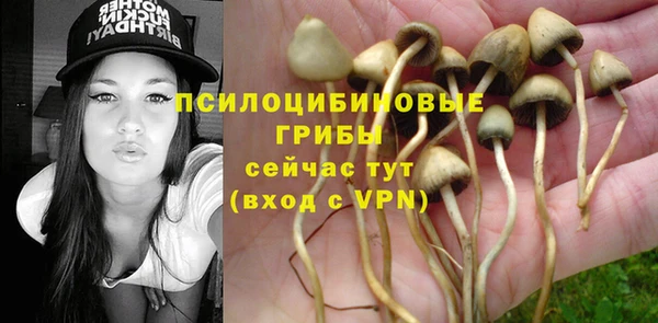 дмт Верхний Тагил